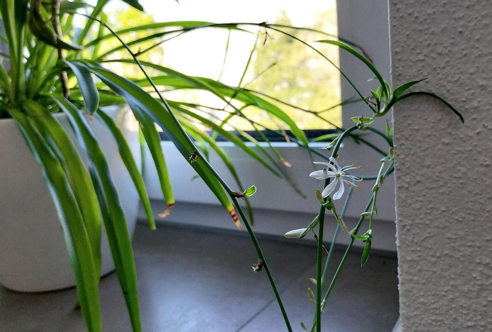 Kempten Mit Bauernhof-Flair 외부 사진